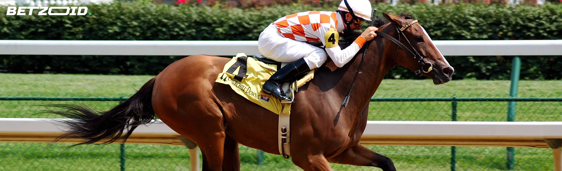競馬中に馬に乗る騎手。