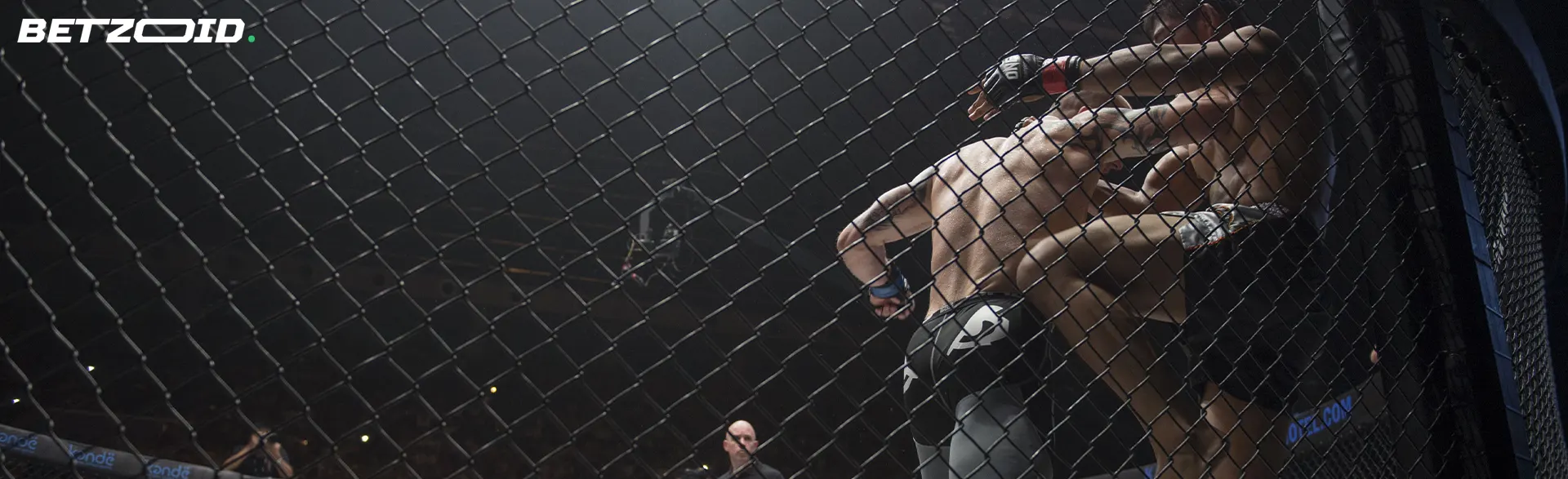 Бійці UFC у клітці під час поєдинку.